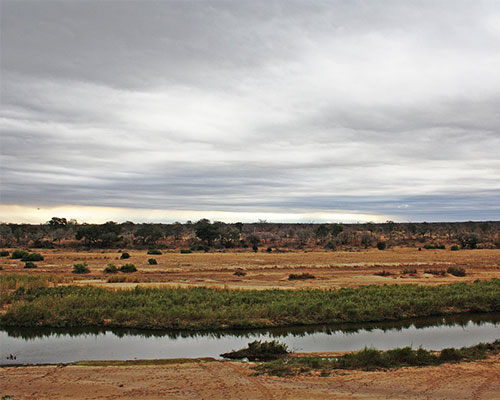 Click to enlarge Photo of Ngwenya Lodge